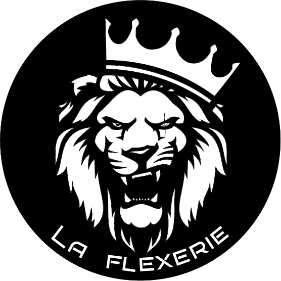 Lire la suite à propos de l’article Logo Twitch